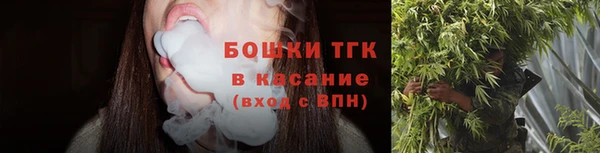 винт Гусев