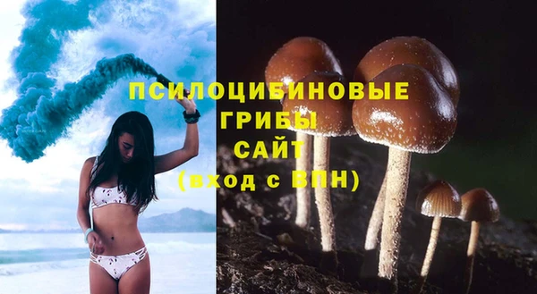 синтетический гашиш Горнозаводск