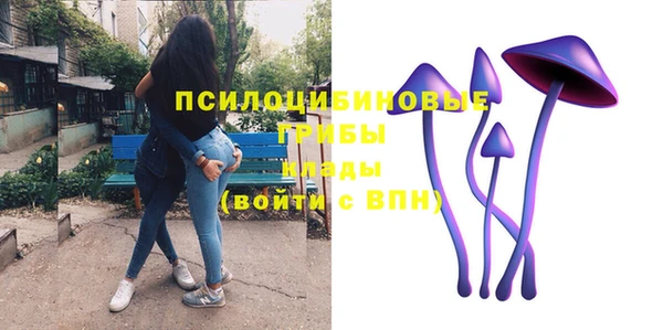 прущая мука Гусь-Хрустальный